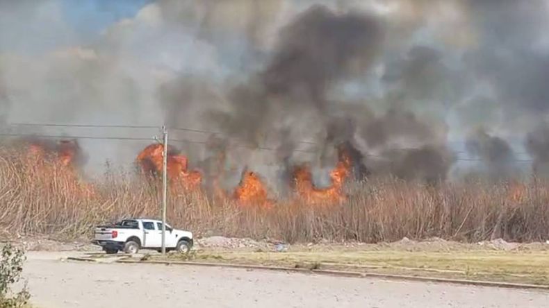 incendio alto comedero