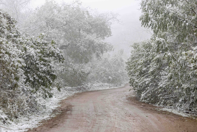 Nieve en Jujuy (Foto: Carlos Sadir)