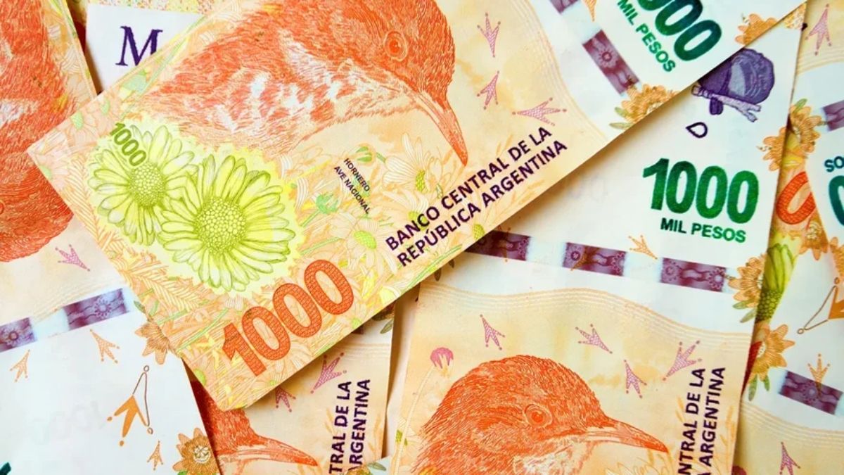 Juntos por el Cambio presentó un proyecto de ley en el Congreso Nacional que propone eliminar dos ceros al peso argentino.