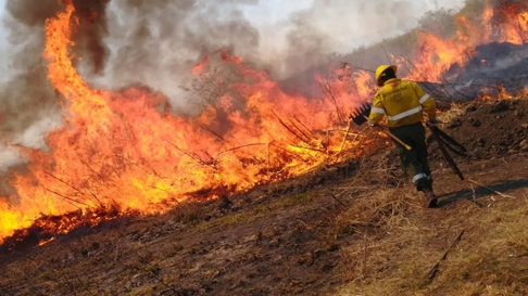 Todo Jujuy | Incendios forestales