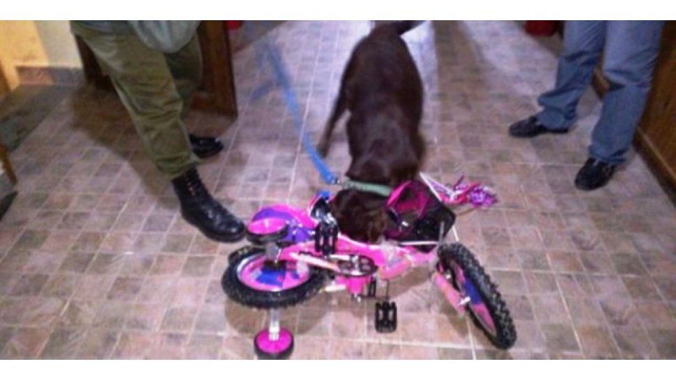Narcobici
