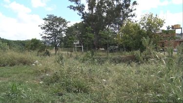 Sargento Cabral preocupa falta de desmalezamiento.