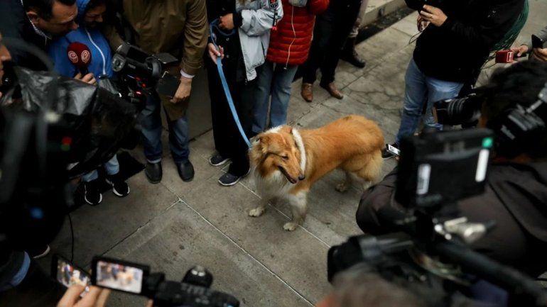 Sebasti&aacute;n Pani /AP
