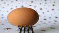 Los huevos son una fuente fundamental en la alimentación diaria de muchas personas