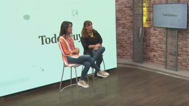 ¿Qué es la sanación emocional con caballos?