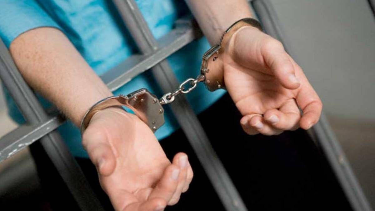 la mujer que mato a una perra y sus cachorros podria ir presa como maximo un ano
