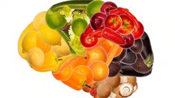 Los alimentos que consumimos son clave para la memoria.