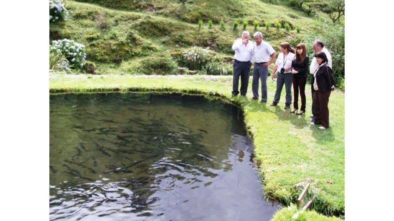 Autoridades visitan criadero en Yala