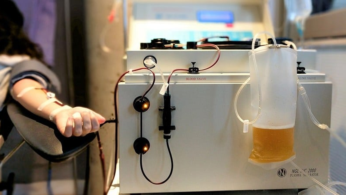 Donación de plasma cómo es el proceso de extracción