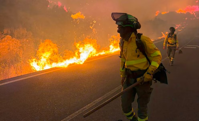 Incendio en España: Los equipos de extinción trabajan en condiciones extremas para frenar el fuego cerca de Los Gallardos que ya ha dejado al menos seis muertos (E112Andalucia)