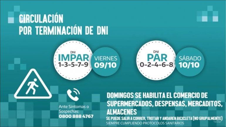 circulación.jpg