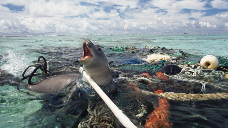 Crean un plan para reciclar 200 toneladas de redes que contaminan el mar argentino