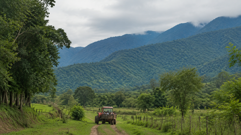 Todo Jujuy | Tractor