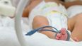 Nació el primer bebe por “transferencia de huso” en Argentina.&nbsp;