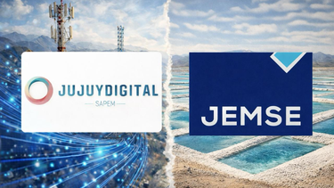 El Estado empresario y la privatización de sus sociedades. El caso de la SAPEM JUJUY DIGITAL. El Estado empresario y la privatización de sus sociedades. El caso de la SAPEM JUJUY DIGITAL.