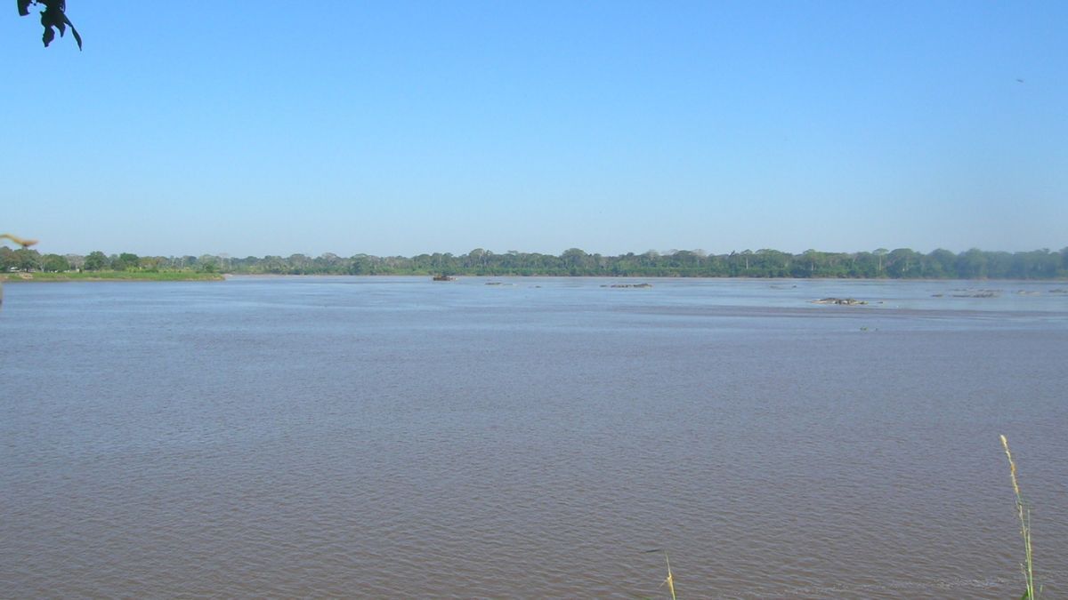 Bolivia y Brasil trabajan para construir el puente binacional