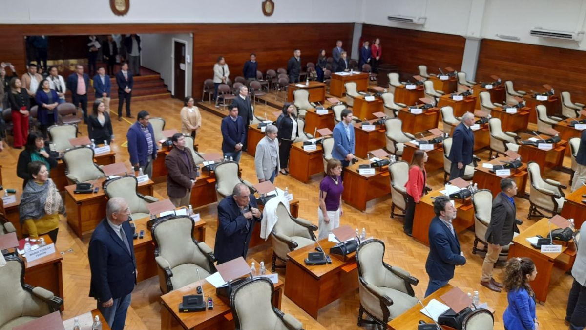El Derecho Animal forma parte de la agenda de la reforma de la Constitución.&nbsp;