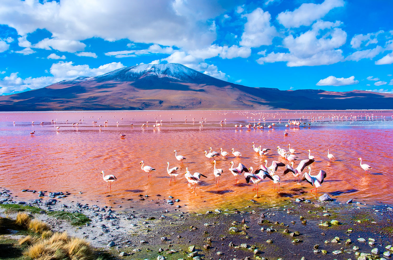 Laguna Colorada muy cerca de Jujuy.