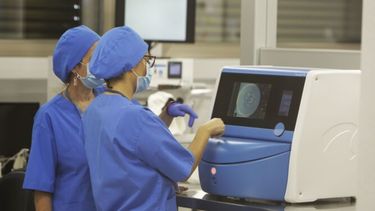 La variante Ómicron es más contagiosa pero menos severa.&nbsp;