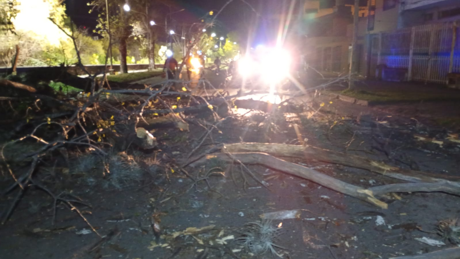 el viento dejo sin luz a varias zonas de jujuy: donde continuan los cortes