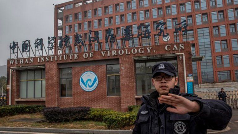 Para el periodista, aquí habría nacido el Covid-19