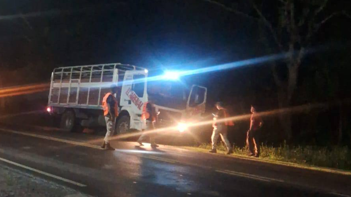 secuestran 15 animales y demoran a dos hombres por documentacion falsa en jujuy