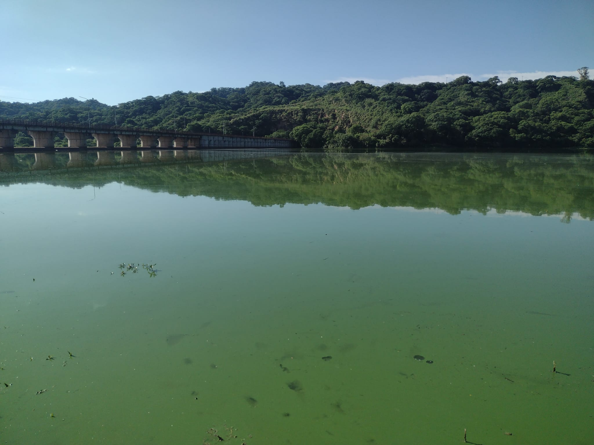 Pesca prohibida en dique Los Alisos.