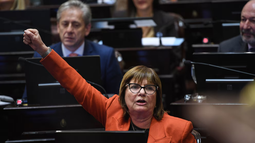 Congreso: Patricia Bullrich dijo que no le avisaron del recorte en discapacidad