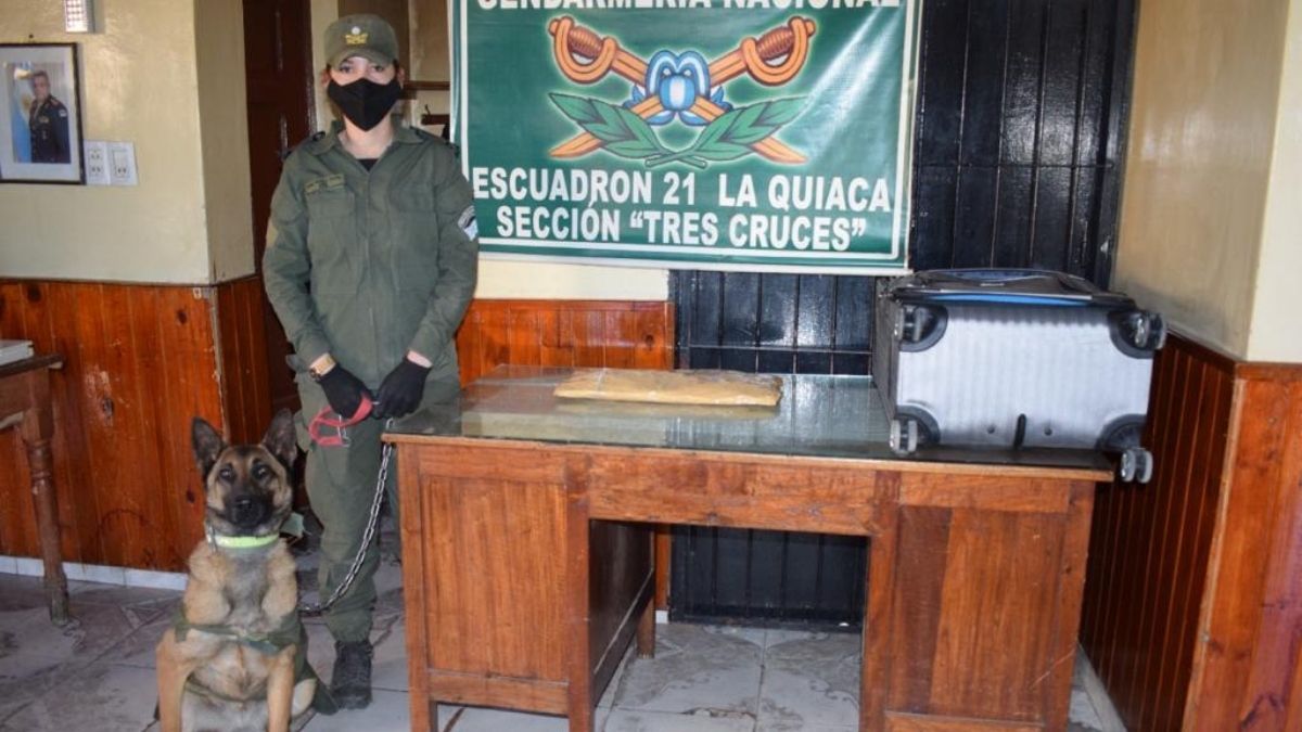 Jujuy: escondían dos kilos de cocaína en una valija