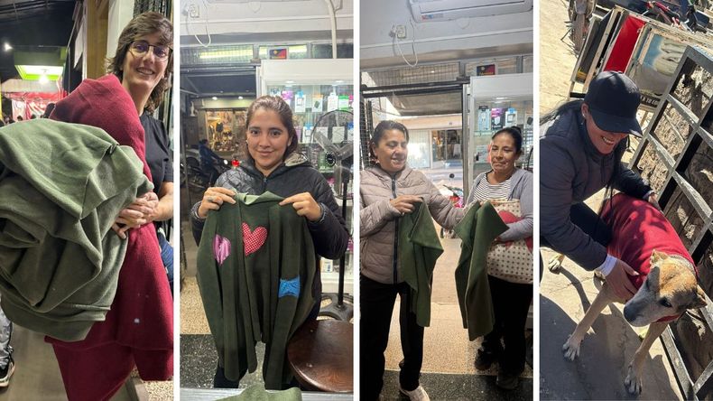 Solidaridad con perros callejeros.