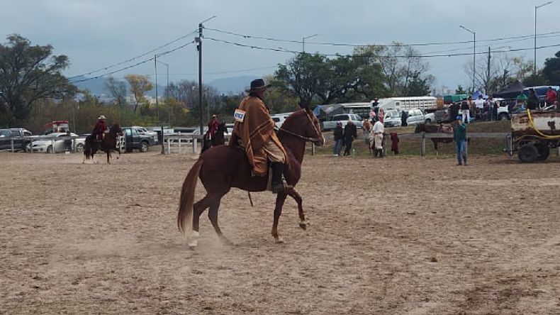 Exitoso Concurso de Caballo Peruano de Paso