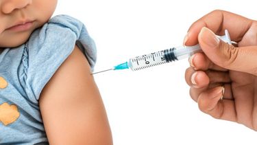 Alerta por el aumento de casos de coqueluche en Argentina: ya murieron 3 bebés en 2026 Alerta por el aumento de casos de coqueluche en Argentina: ya murieron 3 bebés en 2026