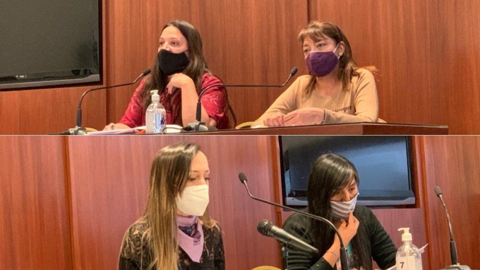 la ley de violencia de genero tiene avances y consenso