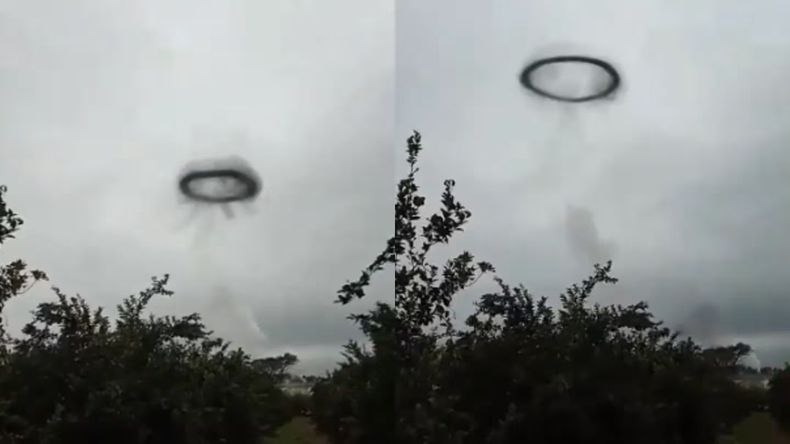 El video se viralizó en las redes sociales.