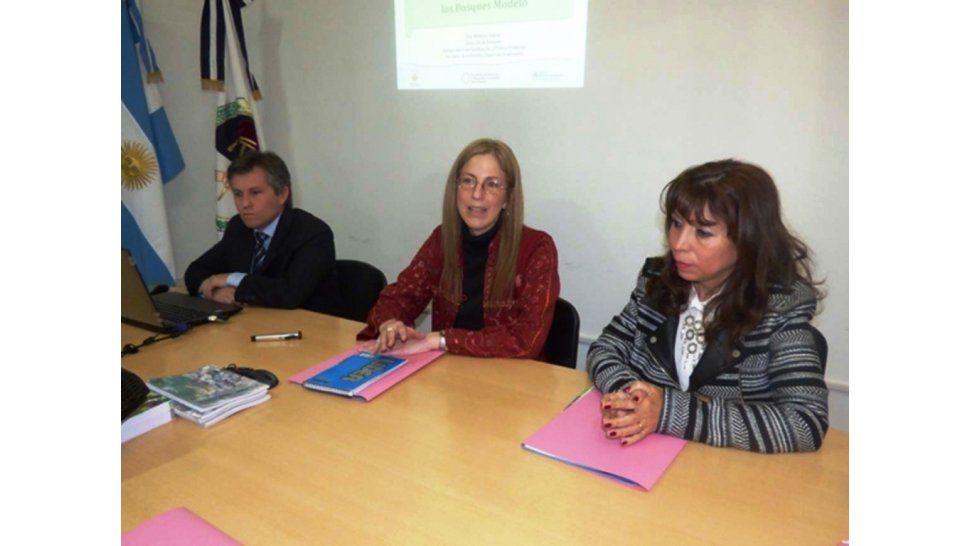 Presentación