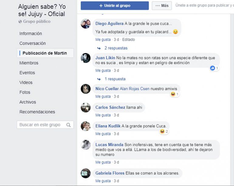 Comenatrios1.jpg