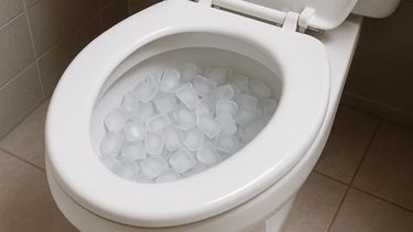 El truco para limpiar el inodoro con cubitos de hielo.