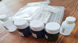 Investigadores argentinos desarrollan kit para detectar virus de Covid en mamíferos.