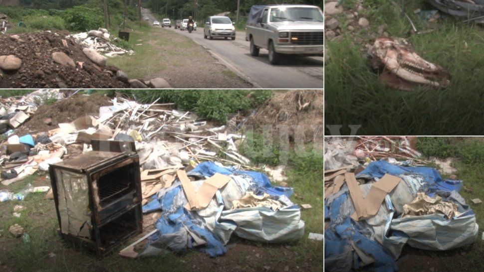 Basural en la Ruta 2: restos de animales, electrodomésticos viejos y mucho más