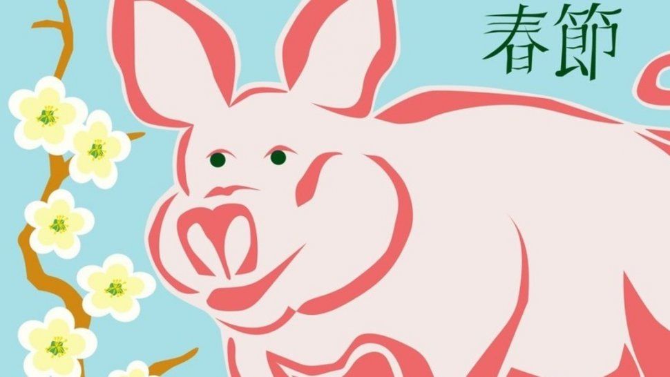 Las particulares predicciones del horóscopo chino para el 2019