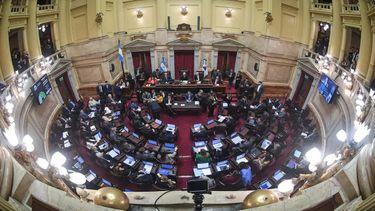 Los senadores tendrán un nuevo aumento y su dieta superará los $13 millones.