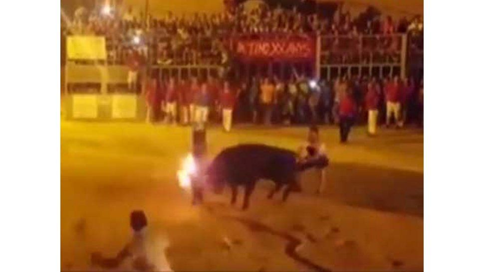 "toro embolado"