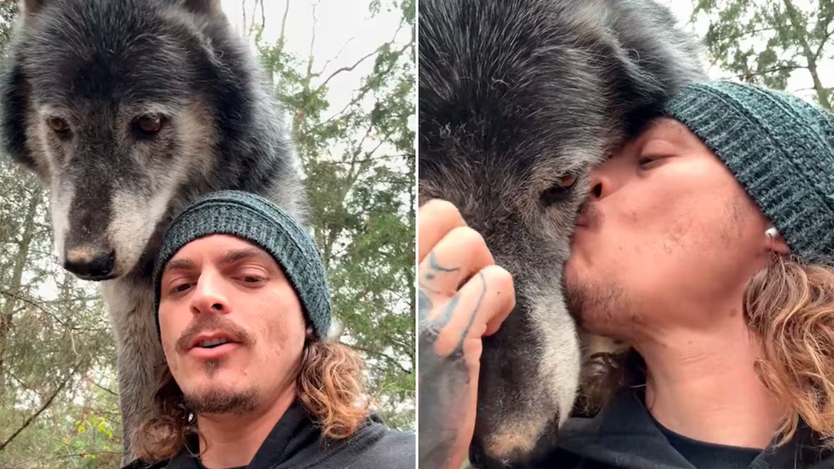 El video, titulado “Mi gran gruñón”, muestra a&nbsp;James Smith interactuando con el lobo de una forma que sorprendió a todos.