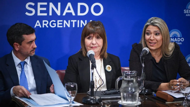 Tierras en manos extranjeras: aumentaron más de un 6% desde 2018 y 31 departamentos superan el límite legal