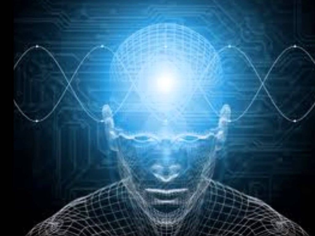 El cerebro y la información