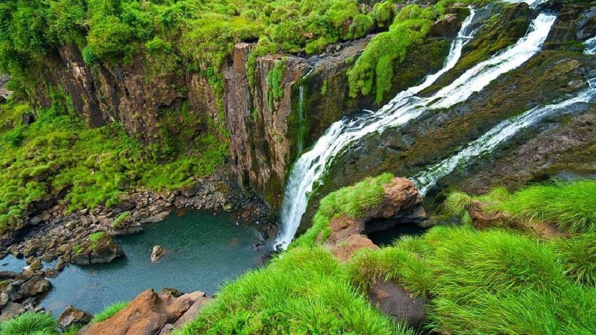 Yungas, un gran lugar para visitar en Jujuy