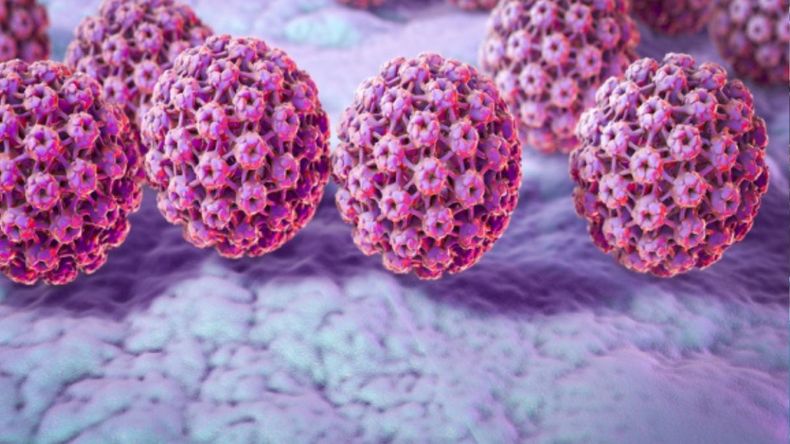 El Escuchadero vuelve al Mercado 6 de Agosto para prevenir contra el HPV