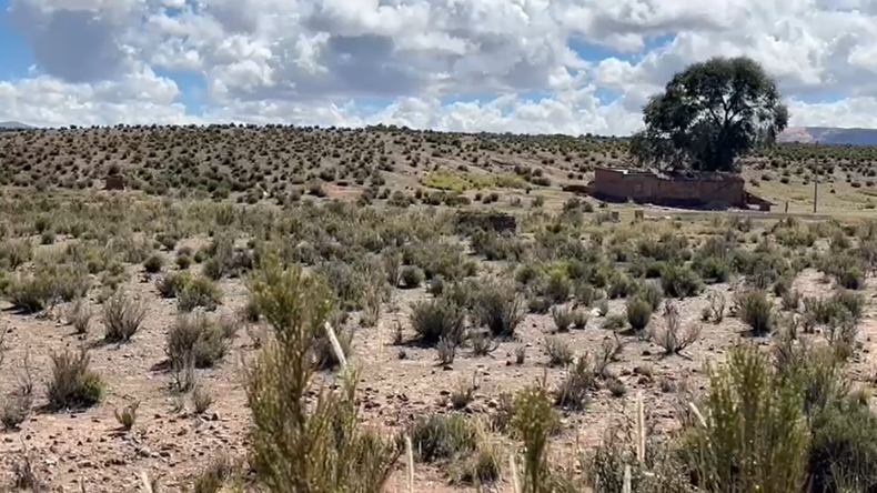 Lugar donde lo encontraron a Elián - Paraje Monterrico 