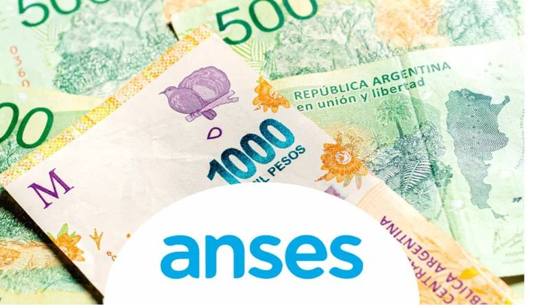 ANSES: ¿Cómo sigue el calendario esta semana por el censo?