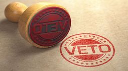 El veto es una facultad del Poder Ejecutivo.